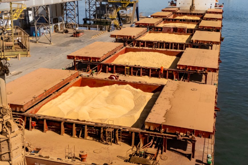 Porto de Paranaguá lidera exportações de soja e amplia participação de mercado em farelo e proteínas animais