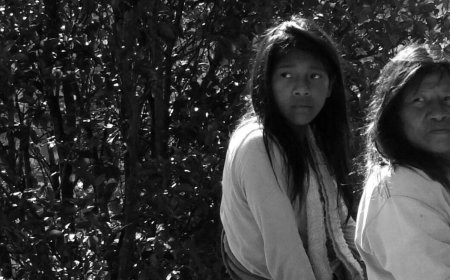 19 de Abril: Brasil celebra Dia dos Povos Indígenas