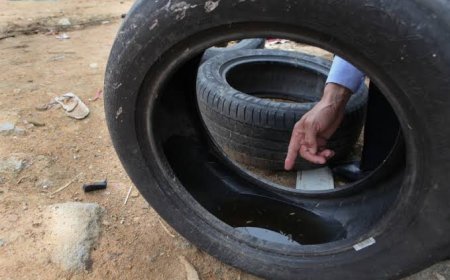 Dengue: Em uma semana, Litoral contabiliza 1.268 novos casos; Guaratuba lidera