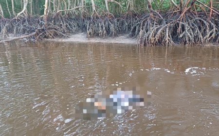 Corpo é encontrado boiando no Rio Itiberê, em Paranaguá
