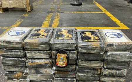 Dois homens são detidos tentando inserir entorpecentes em contêiner no Porto de Paranaguá