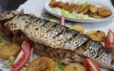 Festa da Tainha em Encantadas começa no dia 7 de junho; evento vai movimentar a Ilha do Mel