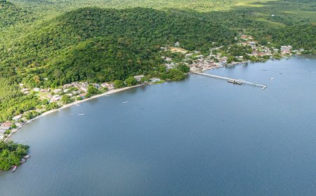 Ilha do Amparo promove mais uma edição da Festa do Camarão no final de março