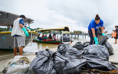 Remada Ambiental: voluntários recolhem quase uma tonelada de resíduos do Rio Itiberê