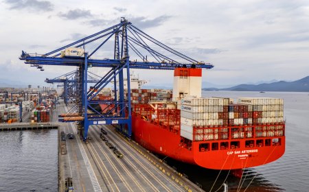 Com 44% da exportação nacional de frango, Porto de Paranaguá é o principal exportador de carnes brasileiras