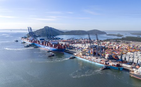 Portos do Paraná divulga atualização de norma que flexibiliza saída de navios graneleiros do cais