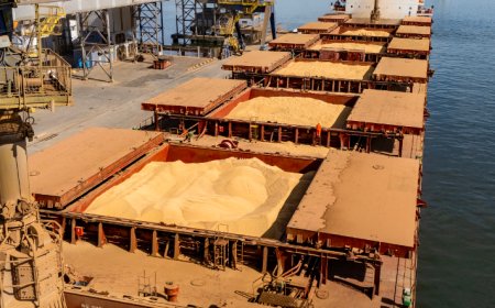 Porto de Paranaguá lidera exportações de soja e amplia participação de mercado em farelo e proteínas animais