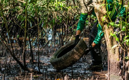 Mutirão celebra Dia Mundial de Limpeza dos Rios, Praias e Manguezais em Paranaguá