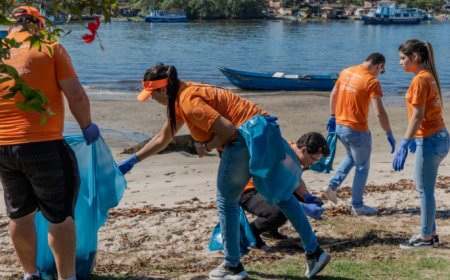 Mutirão reúne voluntários e recolhe toneladas de resíduos dos manguezais de Paranaguá