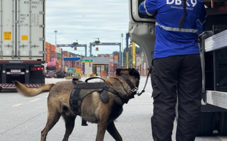 Simulado de combate ao tráfico de drogas no Porto de Paranaguá utiliza cães farejadores