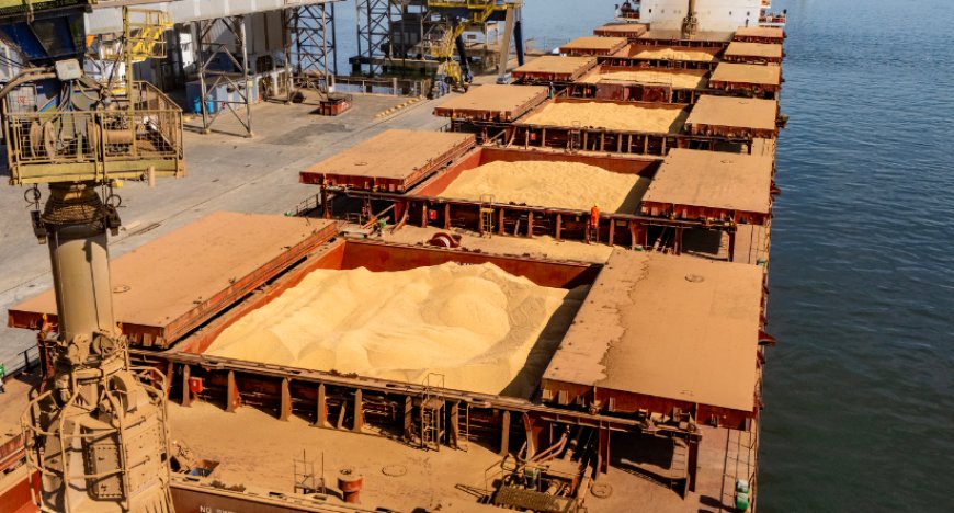 Porto de Paranaguá lidera exportações de soja e amplia participação de mercado em farelo e proteínas animais