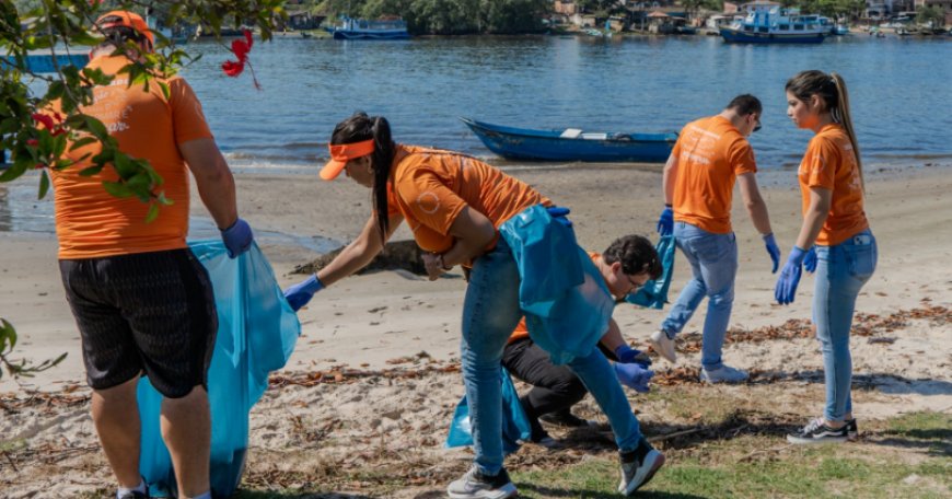 Mutirão reúne voluntários e recolhe toneladas de resíduos dos manguezais de Paranaguá