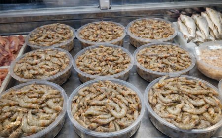 Defeso do camarão começa nesta quarta-feira (28) e reforça importância da pesca sustentável em Paranaguá