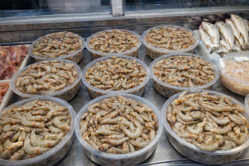 Defeso do camarão começa nesta quarta-feira (28) e reforça importância da pesca sustentável em Paranaguá