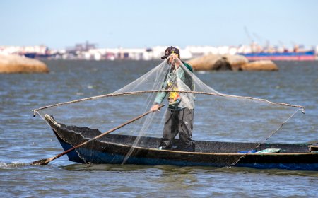 Parceria entre Portos do Paraná e Olha o Peixe vai impulsionar a pesca artesanal no litoral