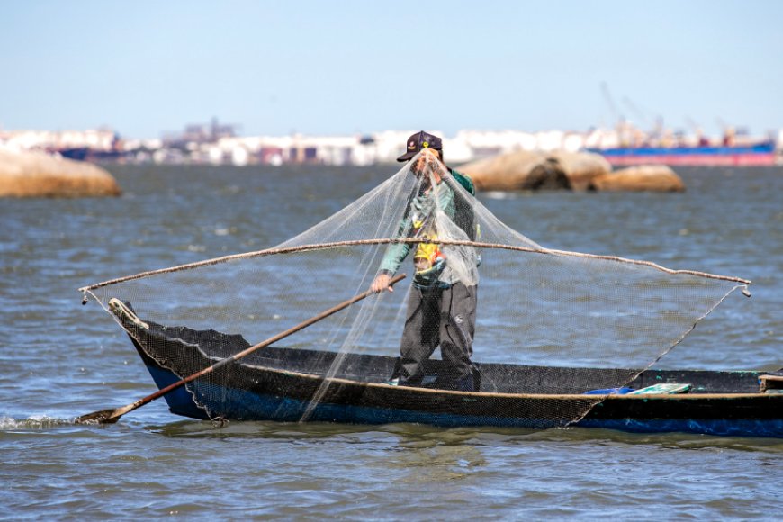 Parceria entre Portos do Paraná e Olha o Peixe vai impulsionar a pesca artesanal no litoral