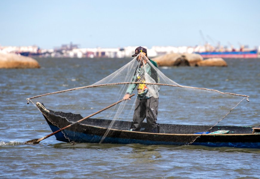 Parceria entre Portos do Paraná e Olha o Peixe vai impulsionar a pesca artesanal no litoral