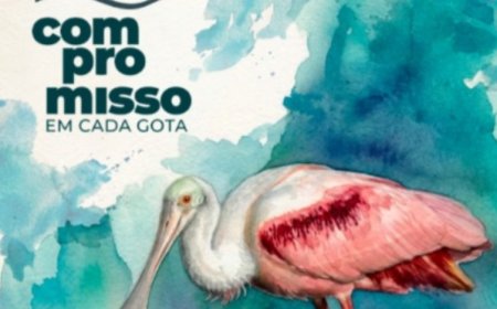 Proteger os mananciais e as florestas é uma missão do saneamento