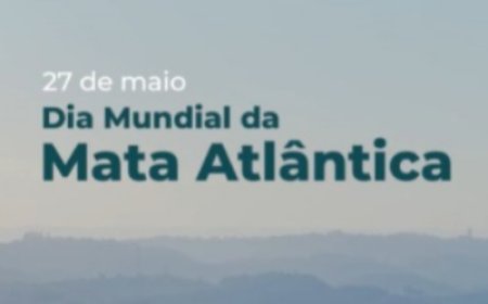 Saneamento e Mata Atlântica: entenda a relação que impacta diretamente Paranaguá
