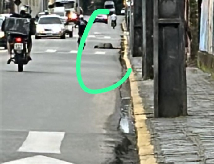 Homem é preso em Morretes por agredir companheira em via pública