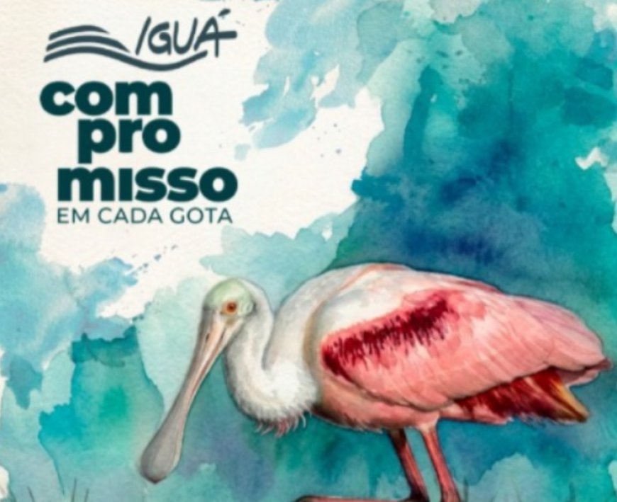 Proteger os mananciais e as florestas é uma missão do saneamento
