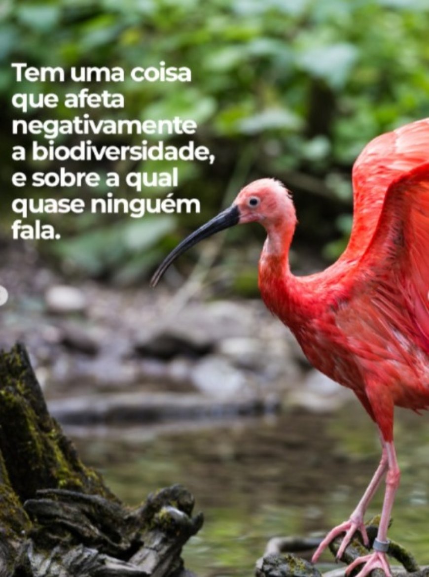 Proteger os mananciais e as florestas é uma missão do saneamento