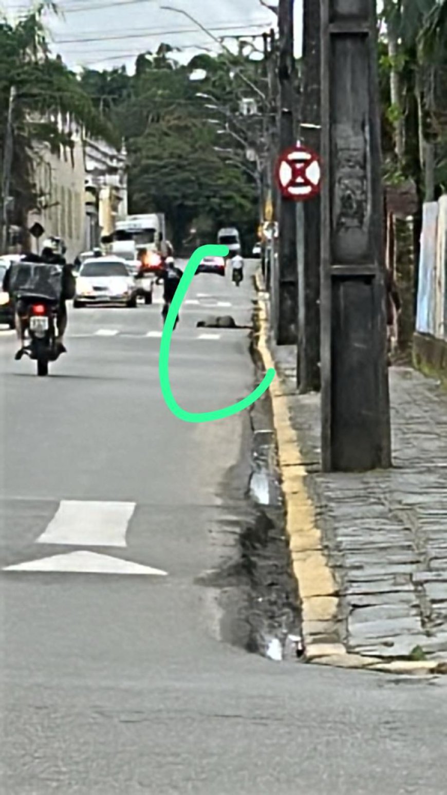 Homem é preso em Morretes por agredir companheira em via pública