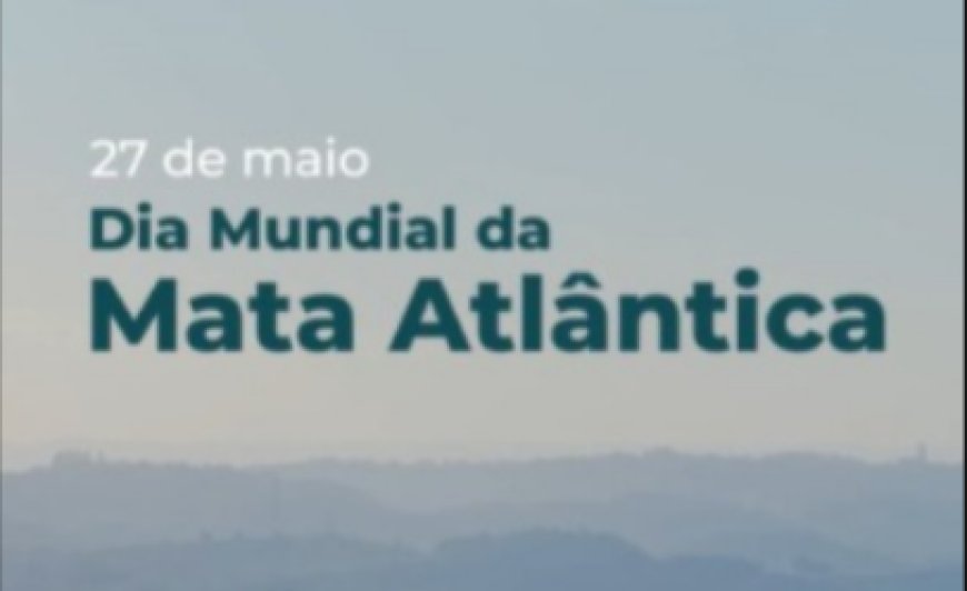 Saneamento e Mata Atlântica: entenda a relação que impacta diretamente Paranaguá