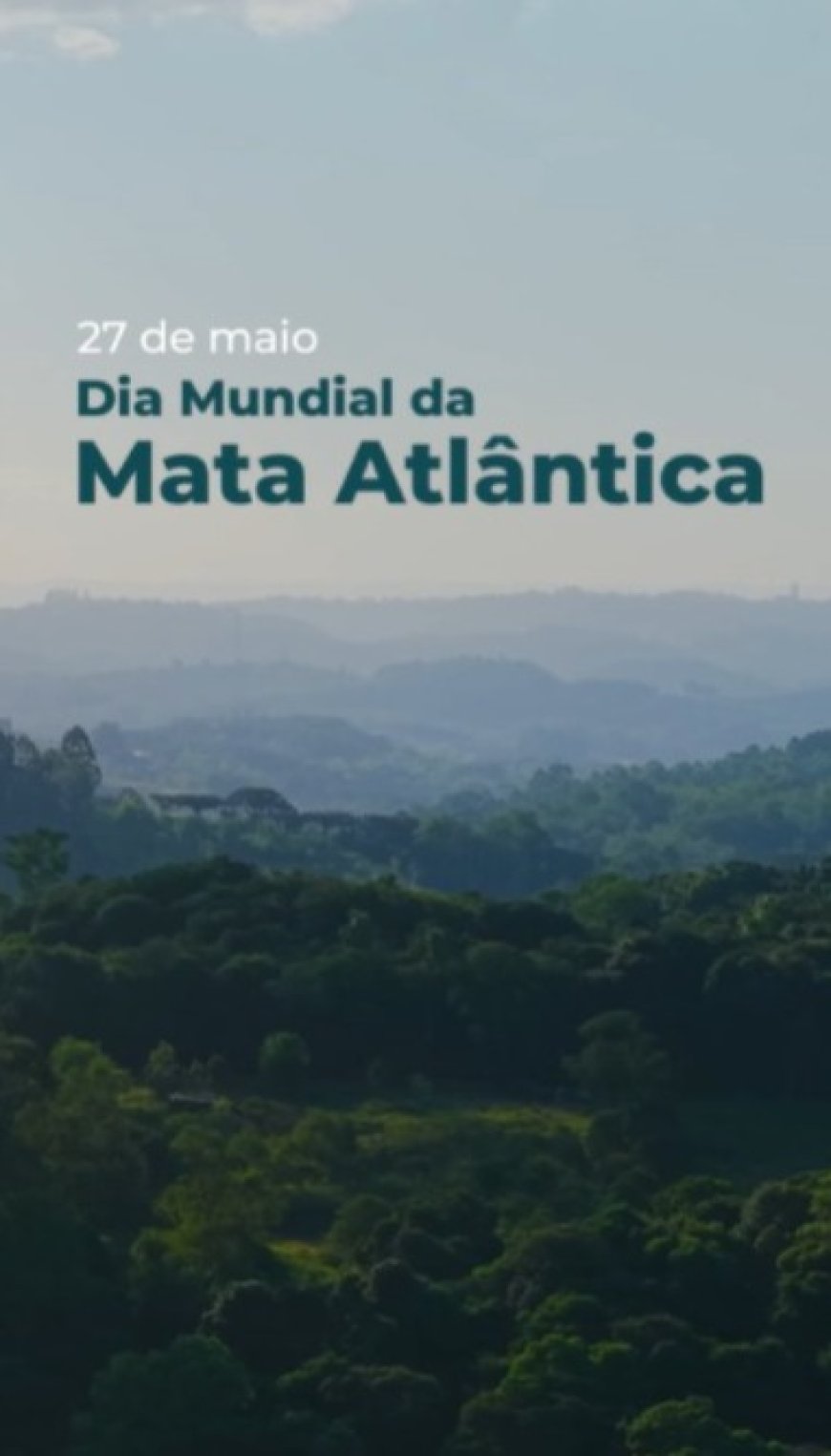 Saneamento e Mata Atlântica: entenda a relação que impacta diretamente Paranaguá