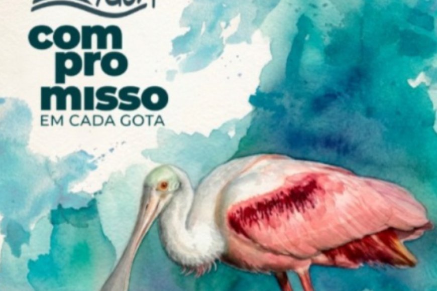 Proteger os mananciais e as florestas é uma missão do saneamento