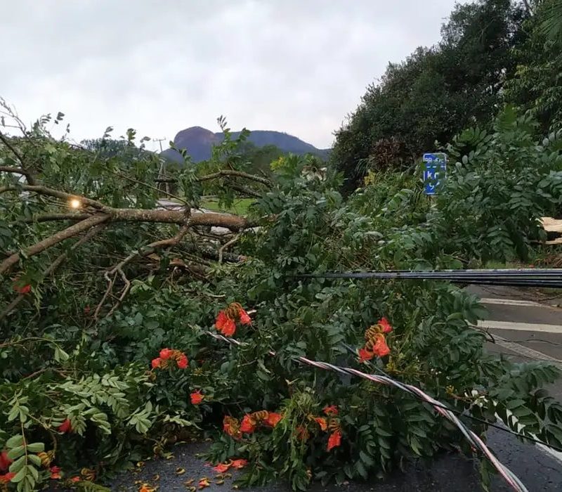 Frente fria avança e alerta de tempestades atinge o Sul do país