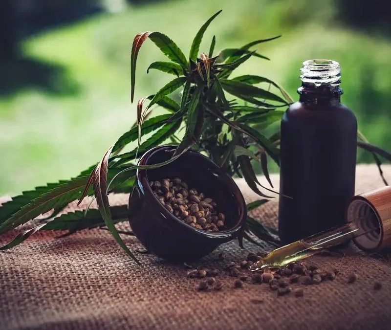 Associações apontam lacunas na regulamentação da cannabis no Brasil