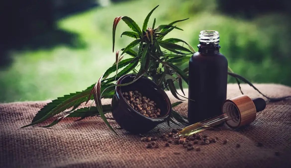 Associações indicam lacunas em regulamentação da cannabis