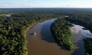 BNDES financia R$ 200 milhões para reflorestamento na Amazônia