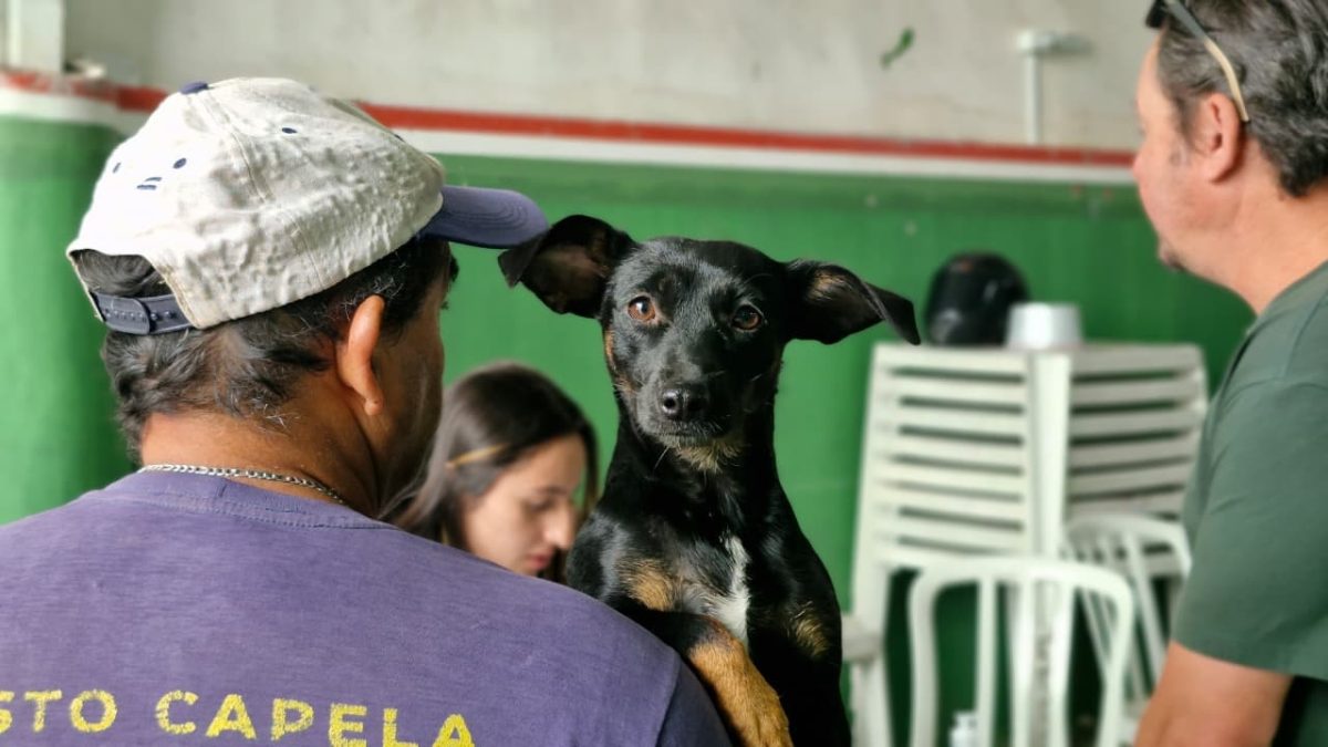 CastraPet Paraná realiza atendimento gratuito em Antonina