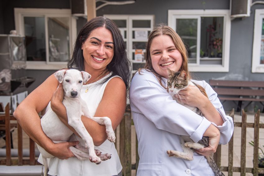 Paranaguá recebe 660 castrações gratuitas de cães e gatos em setembro