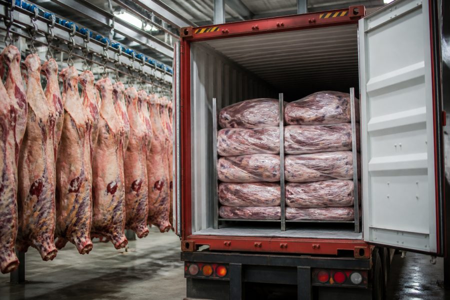 Queda nas exportações de carne bovina do Brasil: -27,1% em agosto