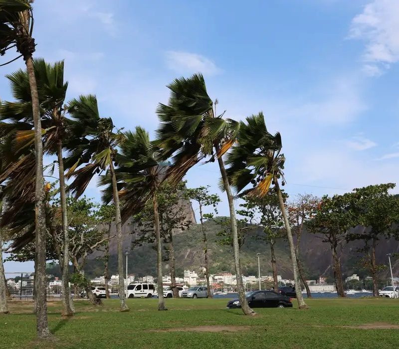 Defesa Civil do Rio emite alerta urgente para rajadas de vento de até 76 km/h