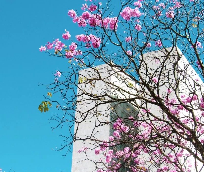 Primavera em SP terá calor intenso e chuva acima da média