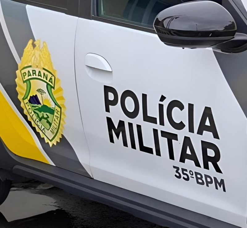 Plantação de maconha é descoberta pela PM em quintal no Paraná