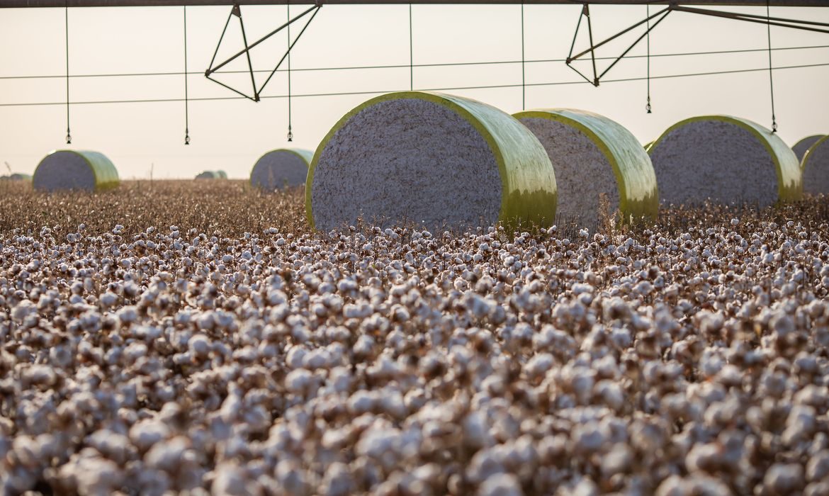 Sorriso perde liderança do agronegócio nacional para nova potência