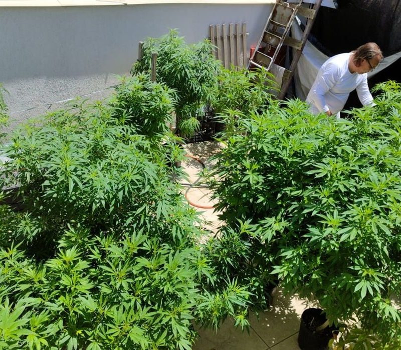 Feira em Fortaleza defende políticas sobre drogas com justiça social