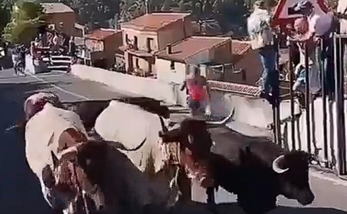 Idosa de 64 anos tenta fugir de touro, mas é atingida pelo animal e morre durante tradicional corrida; veja vídeo