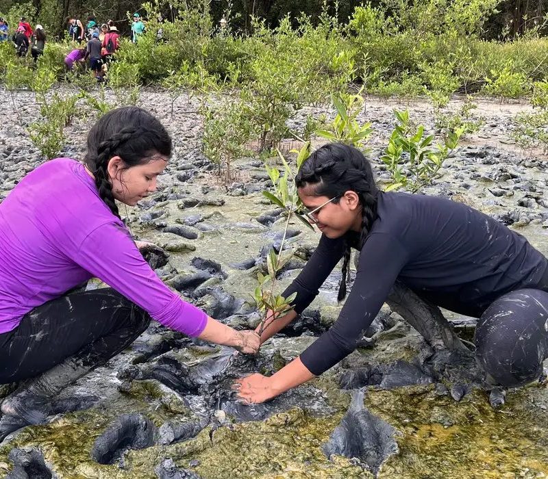 Inscrição de trabalhos no Fórum de Educação Ambiental termina dia 30