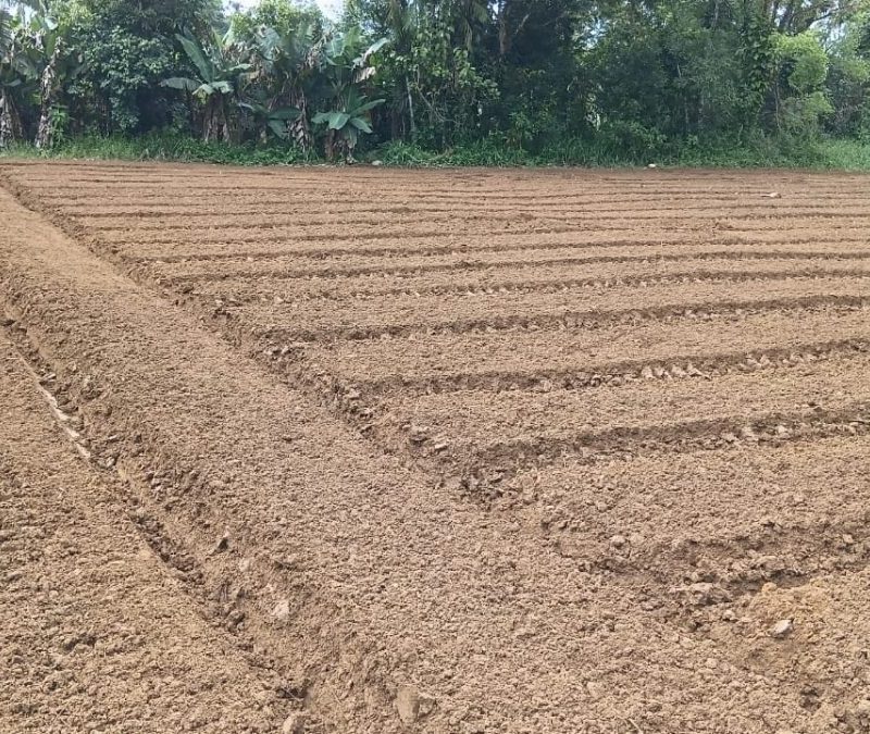Antonina intensifica obras na zona rural com foco em estradas e rios