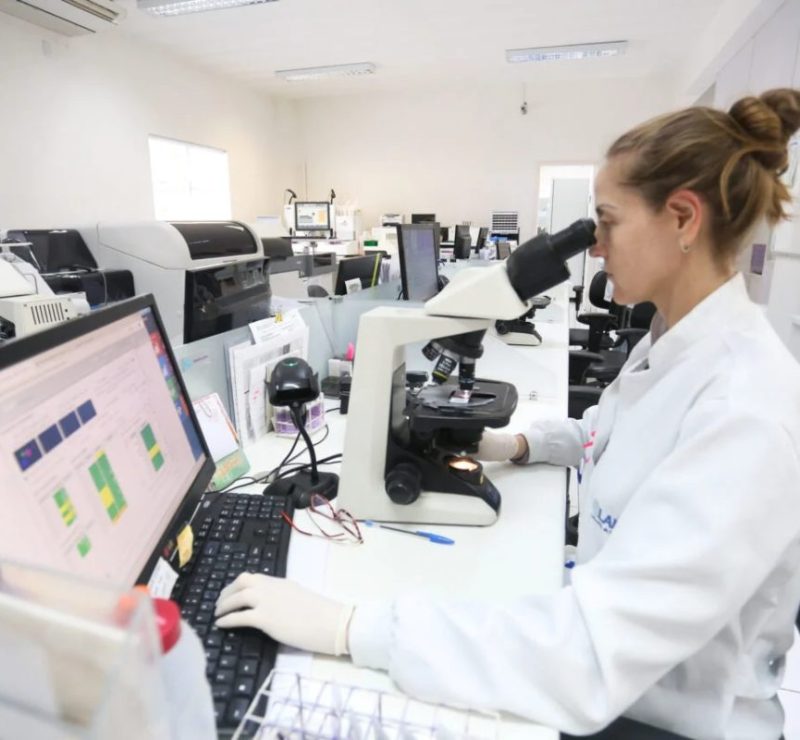 Laboratório em Curitiba cria check-up com 41 exames para mulheres idosas