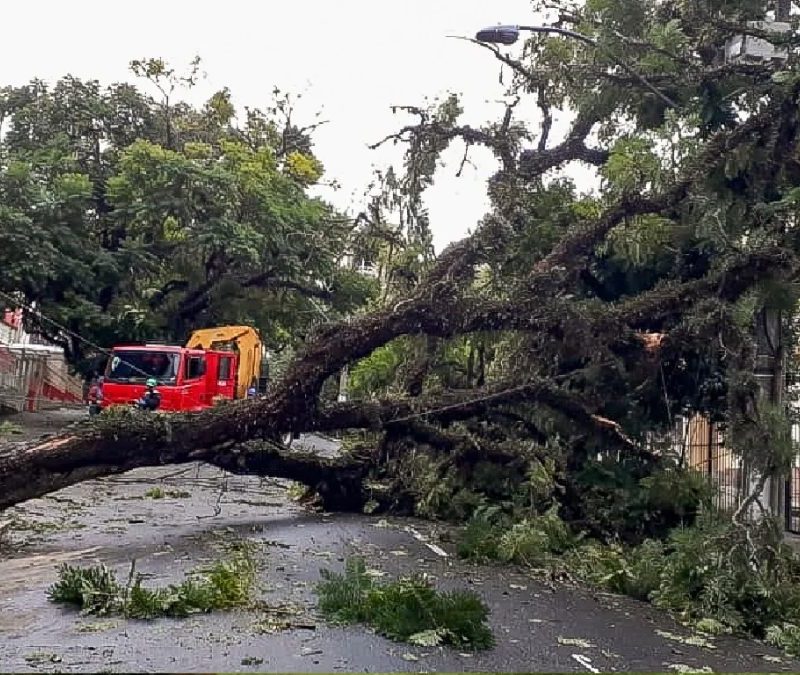 Temporal histórico: MetSul alerta para pior risco desde agosto no RS