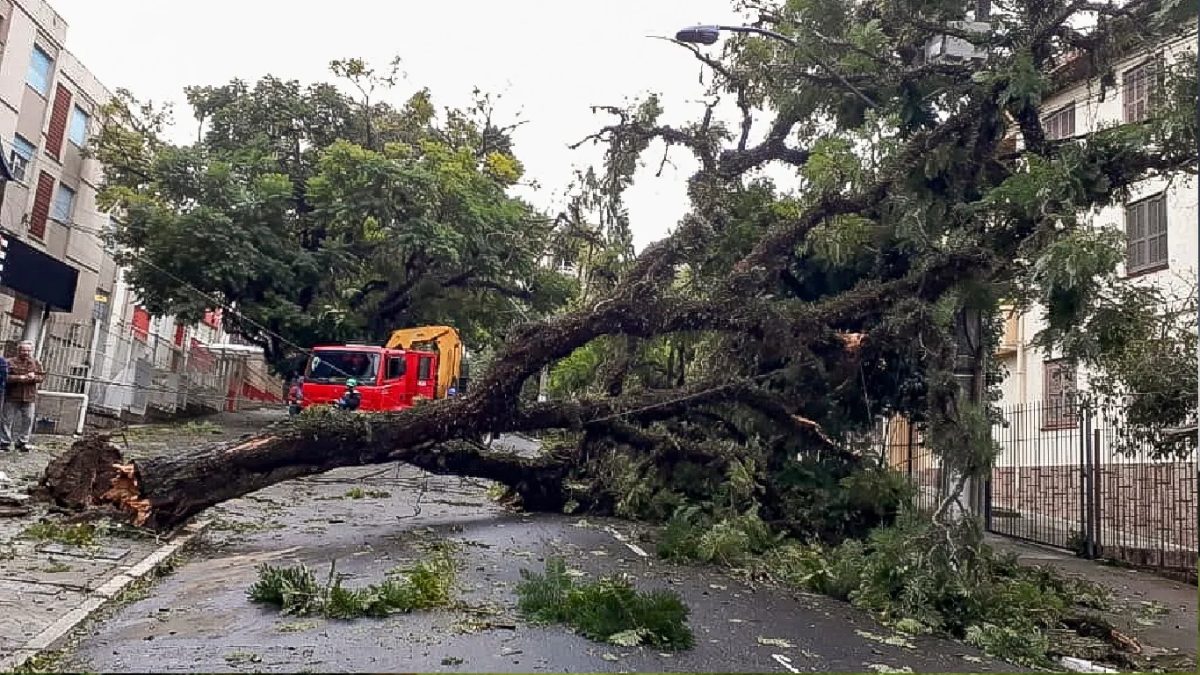 Meteorologista Luiz Nachtigall: cenário mais perigoso desde 6 de agosto