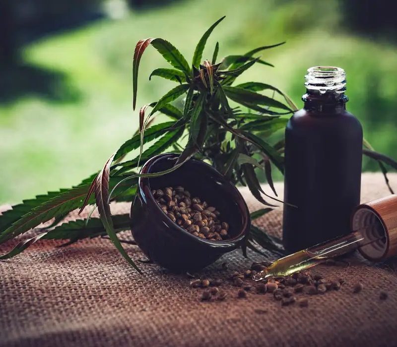 Associações apontam lacunas e insegurança jurídica na regulação da cannabis