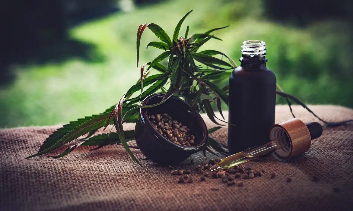 Associações apontam lacunas e insegurança jurídica na regulação da cannabis